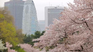 Япония - страна сакуры и трудоголиков. Мир наизнанку - 1 серия, 9 сезон
