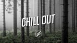 Chill Out Mix 🌱 Best Relaxing Music 🌱 Summer Chill Mix 2017