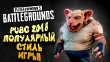 PUBG 2018! - ЛУЧШИЙ СТИЛЬ ИГРЫ! - ШИМОРО В Battlegrounds