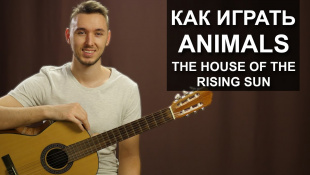 Как играть: The Animals - House of the rising sun на гитаре | Разбор, видео урок