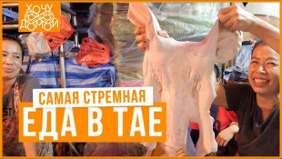 Самая мерзкая еда в Таиланде || Пробую акульи плавники, свиные мозги, насекомых и бычий...