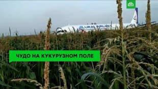 Чудо на кукурузном поле: пилоты спасли жизнь 226 пассажиров