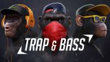 Trap Music 2017 ★★★  Bass Boosted Best Trap Mix ♫