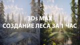 Уроки 3Ds MAX: Создание леса за один час. CORONA RENDERER