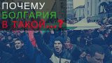 Русофобия и Предательство. Отчего Болгария в такой ж...? (aftershock.news)