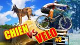 JE DÉFIE UN CHIEN ! (Vélo vs Chien #2)