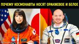 Почему космонавты носят оранжевое и белое