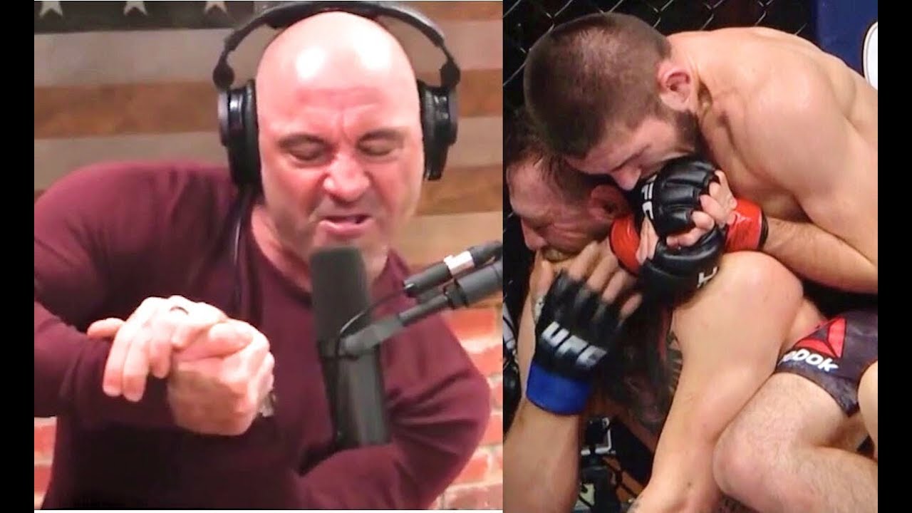 Joe rogan podcast в hamster combat